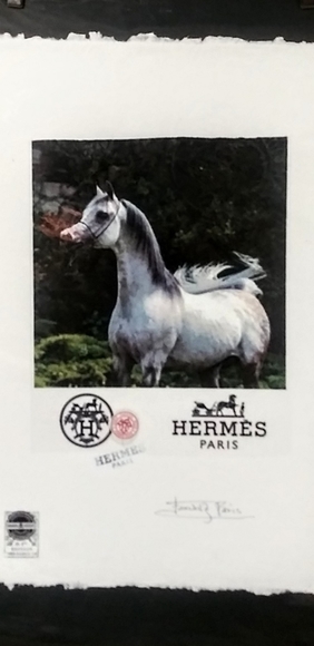 HERMÉS, Arabian Stallion Print, By Fairchild Paris - Picture 11 of 12